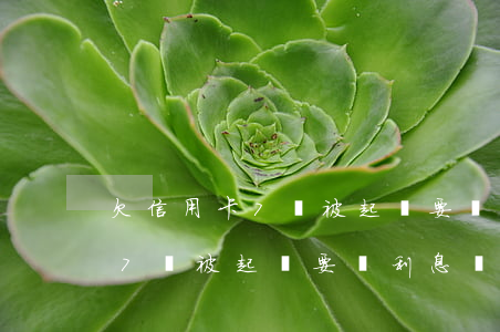 欠信用卡7萬被起訴要還利息嗎-欠信用卡7萬被起訴要還利息嗎怎么辦