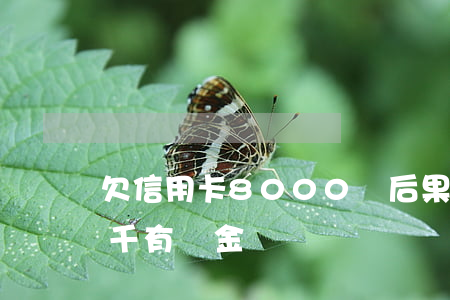 欠信用卡8000塊后果怎么樣?（欠信用卡8千有罰金嗎）