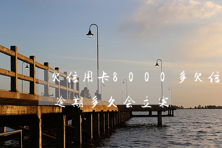 欠信用卡8000多(欠信用卡8000一般逾期多久会立案)