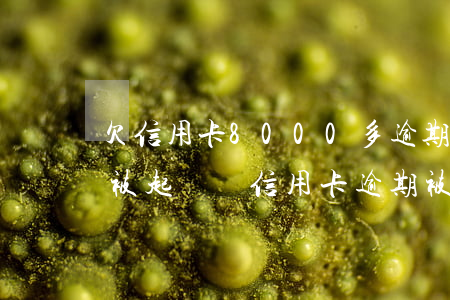 欠信用卡8000多逾期半年會(huì)被起訴嗎（信用卡逾期被起訴判決了再去還款會(huì)怎么樣）