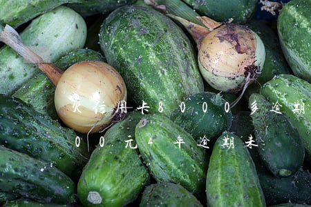 欠信用卡8000多逾期圖片(欠信用卡8000元4年逾期未還)