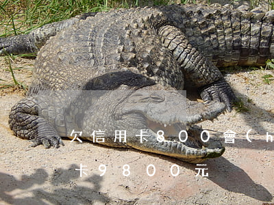 欠信用卡800會(huì)怎么辦（欠信用卡9800元）