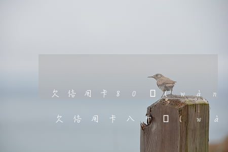 欠信用卡80萬(wàn)沒(méi)還(欠信用卡八十萬(wàn)怎么辦)