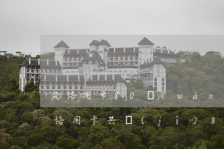 欠信用卡80萬(wàn)還不上怎么辦（欠信用卡共計(jì)80萬(wàn)）