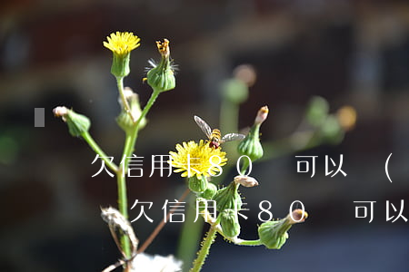 欠信用卡80萬可以協(xié)商還款嗎-欠信用卡80萬可以協(xié)商還款嗎知乎