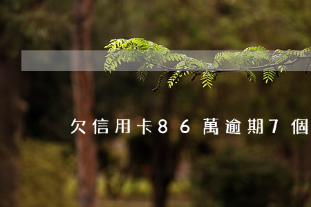 欠信用卡86萬逾期7個月