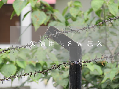 欠信用卡8w怎么還-欠八萬信用卡