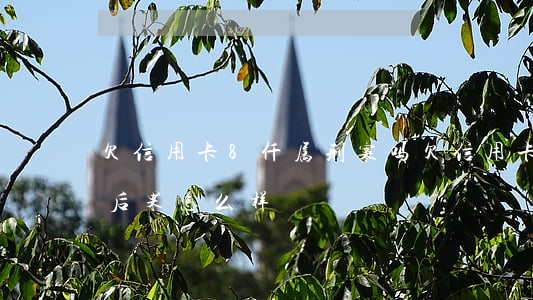 欠信用卡8仟属刑案吗(欠信用卡8000块后果怎么样?)