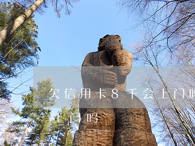 欠信用卡8千会上门吗知乎（欠信用卡8千会上门吗）