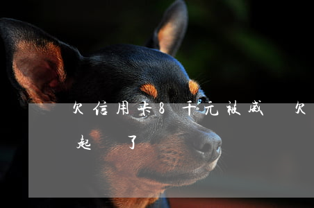 欠信用卡8千元被威脅(欠信用卡8000被起訴了)