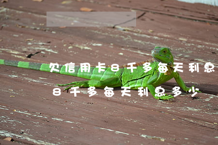 欠信用卡8千多每天利息多少錢-欠信用卡8千多每天利息多少錢啊