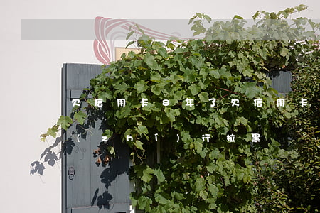 欠信用卡8年了(欠信用卡8年了為什么不執(zhí)行拉黑)