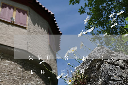 欠信用卡8年能協(xié)商還本金嗎（欠信用卡前8年）