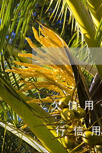 欠信用卡8張還沒(méi)逾期(欠多家銀行信用卡逾期)