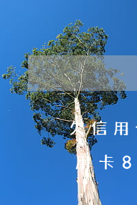 欠信用卡8萬(wàn)8年了怎么辦（欠信用卡8萬(wàn)8年了）