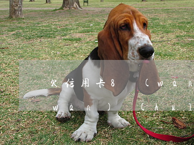 欠信用卡8萬(wàn)元(欠信用卡8萬(wàn)會(huì)坐牢嗎)