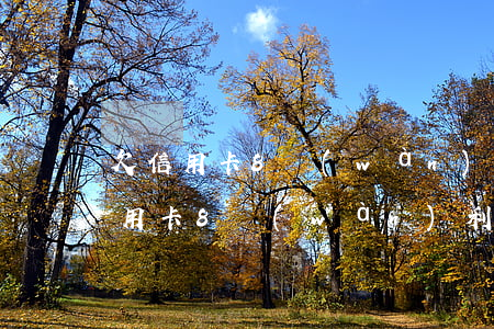 欠信用卡8萬(wàn)利息是多少-欠信用卡8萬(wàn)利息是多少