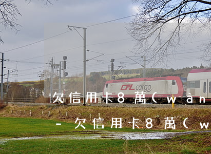 欠信用卡8萬(wàn)半年還不起怎么辦-欠信用卡8萬(wàn)半年還不起怎么辦呢
