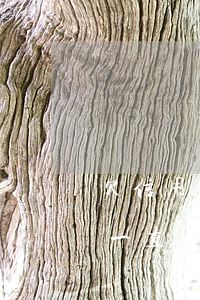 欠信用卡8萬(wàn)現(xiàn)在一直沒(méi)人催了-