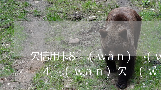 欠信用卡8萬(wàn)網(wǎng)商貸4萬(wàn)(欠網(wǎng)貸信用卡五十多萬(wàn))