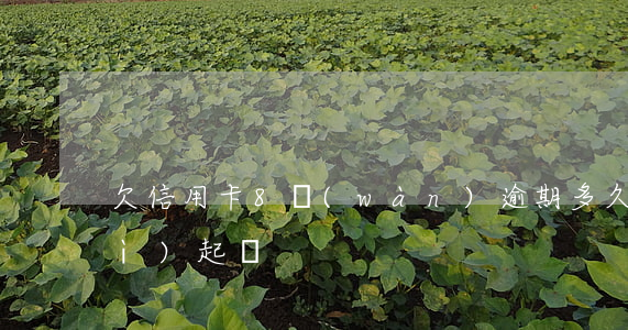 欠信用卡8萬(wàn)逾期多久會(huì)起訴
