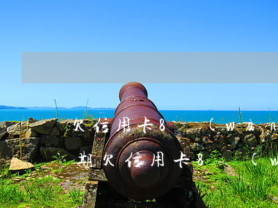 欠信用卡8萬(wàn)還沒(méi)逾期(欠信用卡8萬(wàn)還沒(méi)逾期)