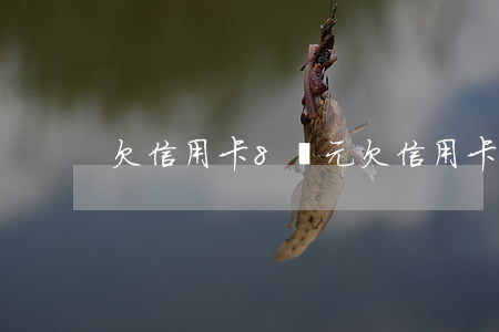 欠信用卡8萬元(欠信用卡8萬會坐牢嗎)