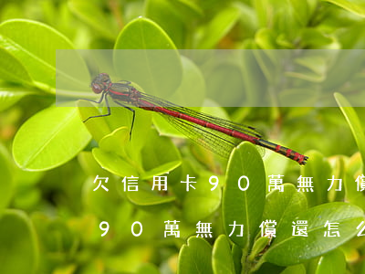 欠信用卡90萬無力償還怎么辦-欠信用卡90萬無力償還怎么辦呢