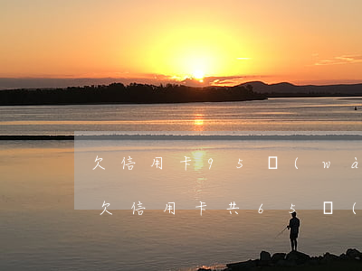 欠信用卡95萬(wàn)無(wú)力還(欠信用卡共65萬(wàn)暫時(shí)還不上)