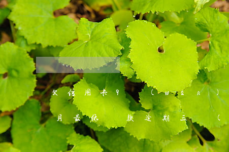 欠信用卡9萬(wàn)逾期3個(gè)月最低還款(逾期三個(gè)月信用卡已還清最低)