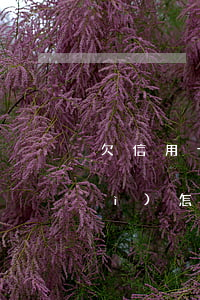 欠信用卡9萬(wàn)還不起了會(huì)怎么樣-