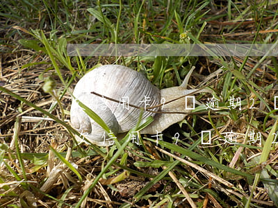 欠信用卡9萬逾期2個(gè)月怎么辦-欠信用卡9萬逾期2個(gè)月怎么辦理