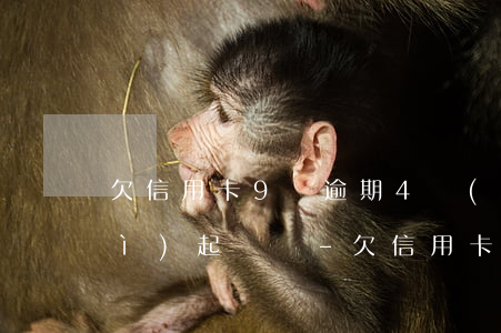 欠信用卡9萬逾期4個(gè)月會(huì)起訴嗎-欠信用卡9萬逾期4個(gè)月會(huì)起訴嗎知乎