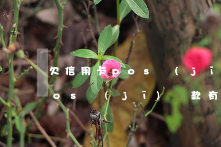 欠信用卡pos機(jī)還款(欠信用卡pos機(jī)還款有影響嗎)