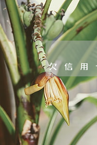 欠信用卡一万5 欠信用卡一万利息怎么算