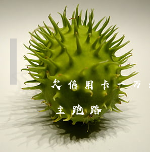 欠信用卡一万公安会通缉吗（欠信用卡一万多主跑路）