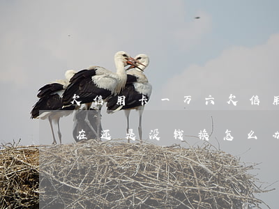 欠信用卡一万六(欠信用卡一万六两年没还现在还是没钱换怎么办)