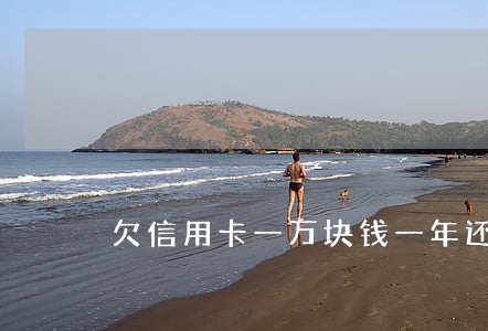 欠信用卡一万块钱一年还多少钱-