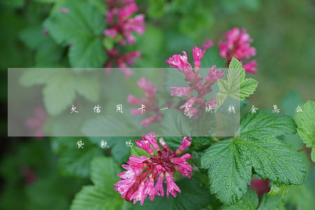 欠信用卡一万块钱会怎么样（信用卡欠一万能贷款吗）