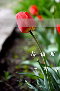 欠信用卡一万多一年多会起诉吗-欠信用卡一万多一年多会起诉吗知乎