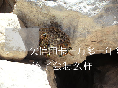 欠信用卡一万多一年多(欠信用卡1万1年没还了会怎么样)