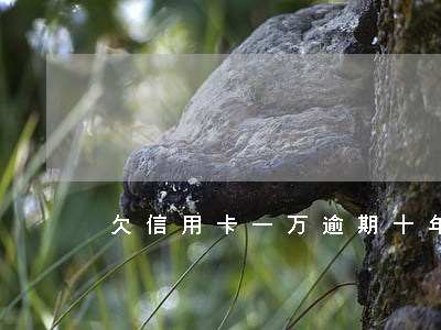 欠信用卡一万逾期十年