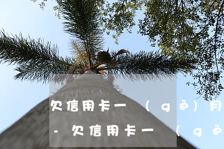 欠信用卡一個(gè)月還100多怎么辦-欠信用卡一個(gè)月還100多怎么辦呢