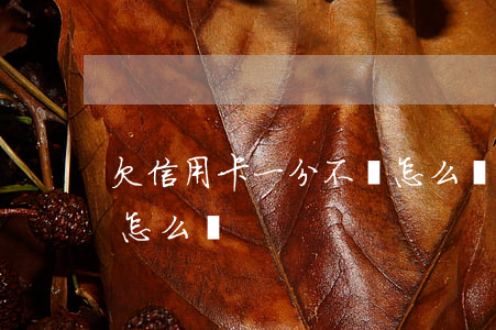 欠信用卡一分不還怎么辦(欠信用卡一分不還怎么辦)