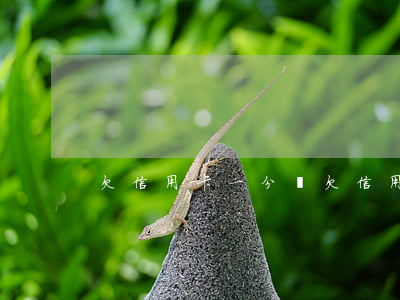 欠信用卡一分錢(欠信用卡1.5萬)
