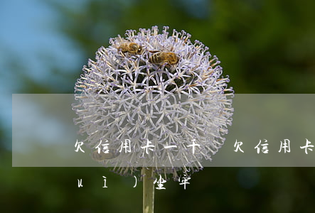 欠信用卡一千億(欠信用卡1000多會(huì)坐牢嗎)