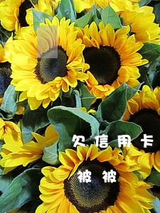 欠信用卡一千元-欠信用卡一千元另外卡會被被凍結(jié)的嗎