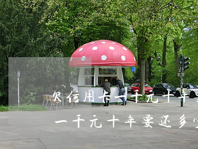 欠信用卡一千元十年要还多少钱-欠信用卡一千元十年要还多少钱呢