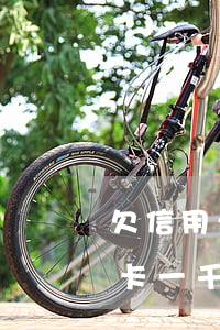 欠信用卡一千元逾期20天怎么辦-欠信用卡一千元逾期20天怎么辦理