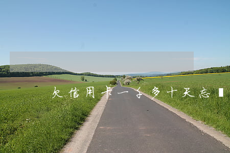 欠信用卡一千多十天忘記還了